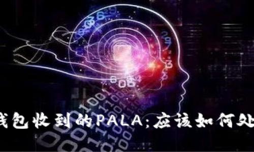 TP钱包收到的PALA:应该如何处理?