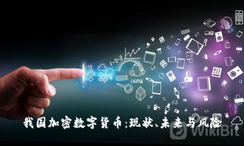 我国加密数字货币:现状、未来与风险