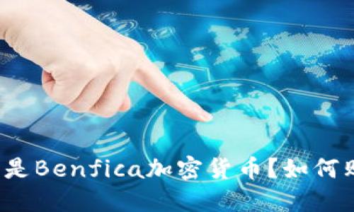 什么是Benfica加密货币?如何购买?