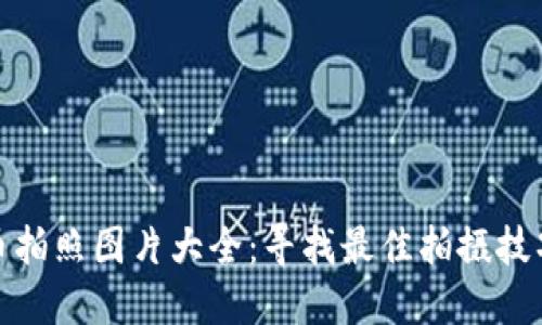 加密货币拍照图片大全:寻找最佳拍摄技巧和灵感