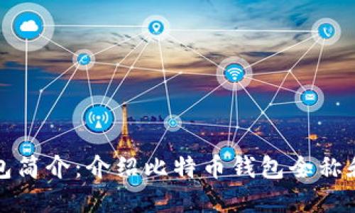 比特币钱包简介:介绍比特币钱包全称和如何进行