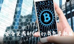 如何下载并安全使用BitKeep钱包手机版：全面指南