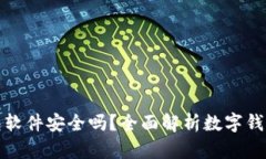 小狐狸钱包软件安全吗？全面解析数字钱包的安