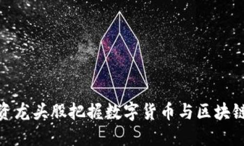 如何通过投资龙头股把握数字货币与区块链带来的机遇