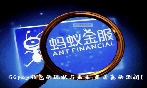  GOpay钱包的现状与未来：是否真的倒闭？