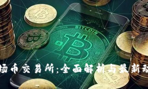 波场币交易所：全面解析与最新动态