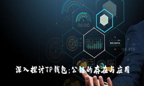 深入探讨TP钱包：公链的存在与应用
