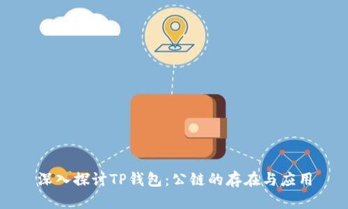 深入探讨TP钱包：公链的存在与应用