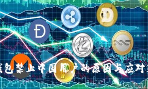 TP钱包禁止中国用户的原因与应对策略