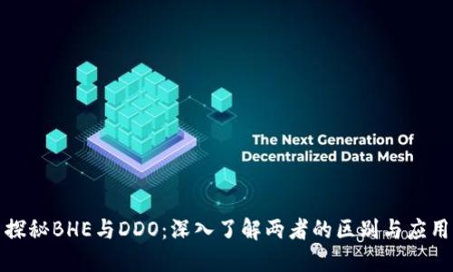 探秘BHE与DDO：深入了解两者的区别与应用