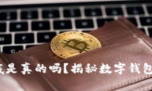 t p钱包上的钱到底是真的吗？揭秘数字钱包的真实性与安全性