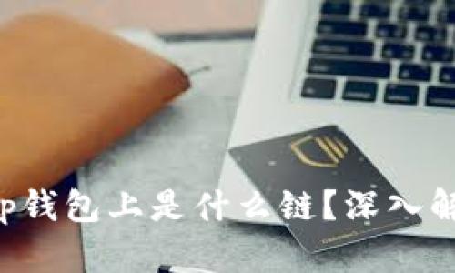  xch在t p钱包上是什么链？深入解析与应用