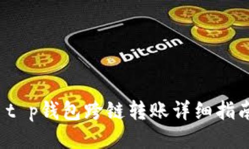  t p钱包跨链转账详细指南