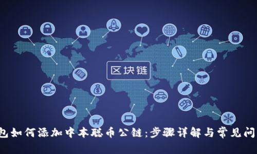 t p钱包如何添加中本聪币公链：步骤详解与常见问题解答