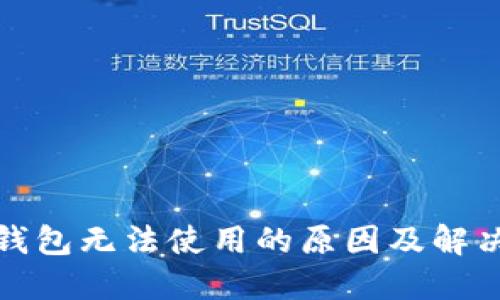 数字钱包无法使用的原因及解决方案