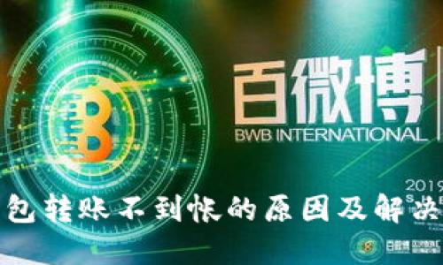 冷钱包转账不到帐的原因及解决方案