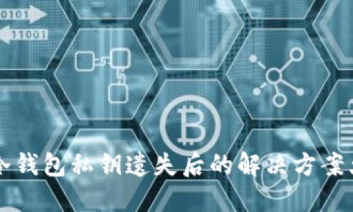 币圈冷钱包私钥遗失后的解决方案大揭秘