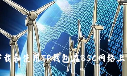 如何安全下载和使用TP钱包在BSC网络上的应用指南