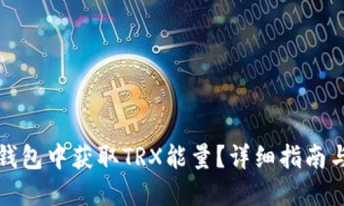 如何在TP钱包中获取TRX能量？详细指南与实用技巧