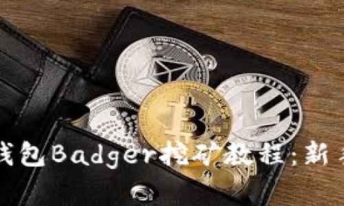 全面解析TP钱包Badger挖矿教程：新手指南与技巧