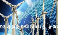 如何选择和使用BEP20钱包：全面指南