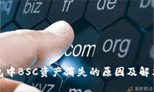 TP钱包中BSC资产消失的原因及解决方案