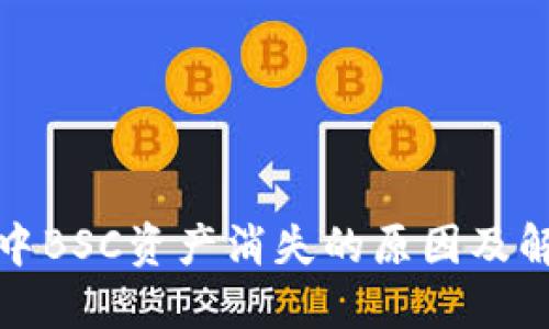 TP钱包中BSC资产消失的原因及解决方案