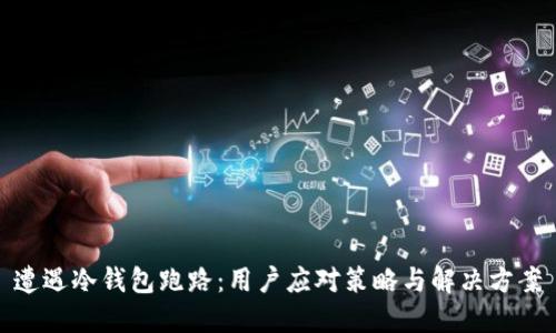 遭遇冷钱包跑路：用户应对策略与解决方案