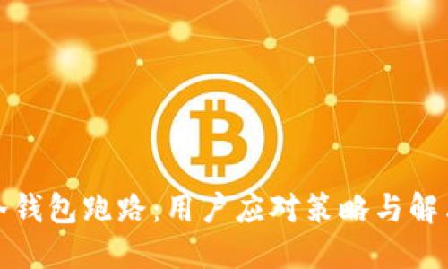 遭遇冷钱包跑路：用户应对策略与解决方案