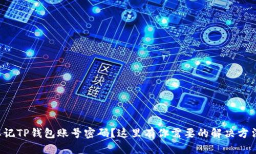 忘记TP钱包账号密码？这里有你需要的解决方法！