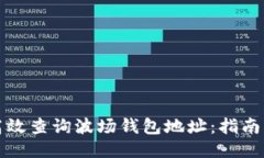 如何高效查询波场钱包地址：指南与技巧