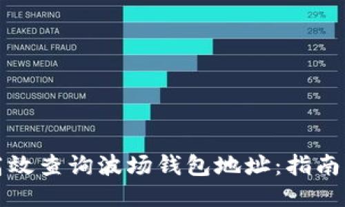 如何高效查询波场钱包地址：指南与技巧