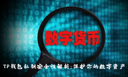 TP钱包私钥安全性解析：保护你的数字资产