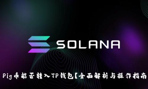 Pig币能否转入TP钱包？全面解析与操作指南