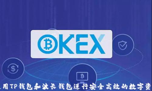 
如何使用TP钱包和波长钱包进行安全高效的数字资产交易