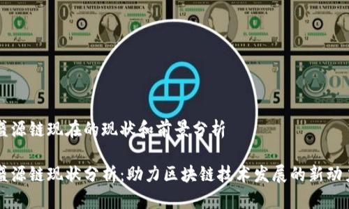 盛源链现在的现状和前景分析

盛源链现状分析：助力区块链技术发展的新动力