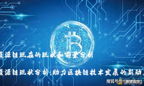 盛源链现在的现状和前景分析

盛源链现状分析：助力区块链技术发展的新动力