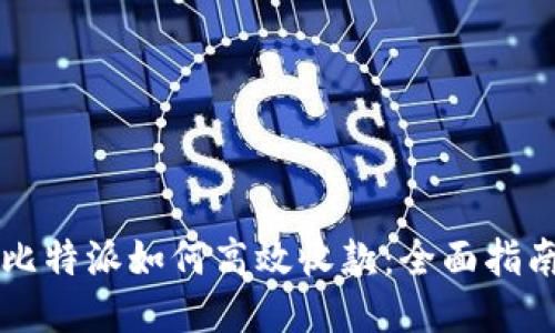 比特派如何高效收款：全面指南