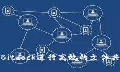 如何利用Bitdock进行高效的文件共享和协作
