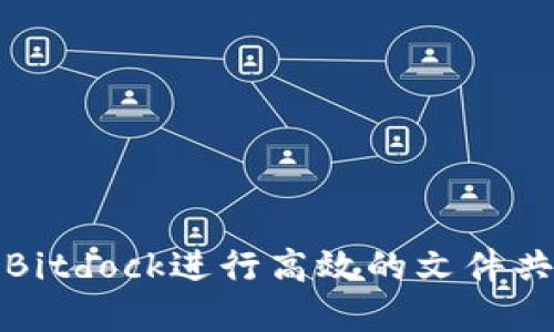 如何利用Bitdock进行高效的文件共享和协作
