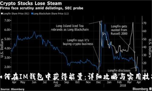 如何在IM钱包中获得能量：详细攻略与实用技巧
