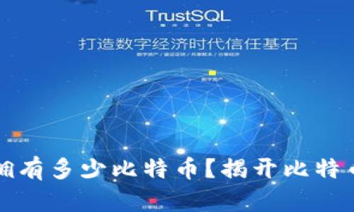 中本聪究竟拥有多少比特币？揭开比特币创始人之谜
