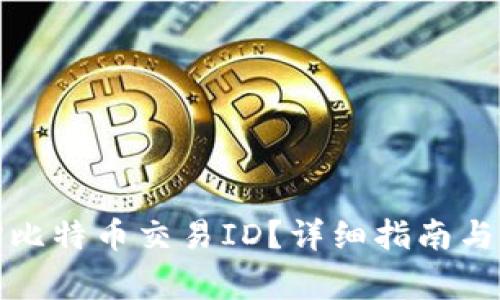如何快速查询比特币交易ID？详细指南与常见问题解答