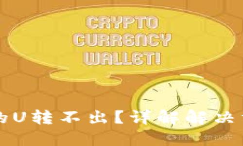  TRUST钱包上的U转不出？详解解决方法与预防措施