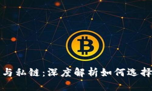 冷钱包的公链与私链：深度解析如何选择适合的冷钱包