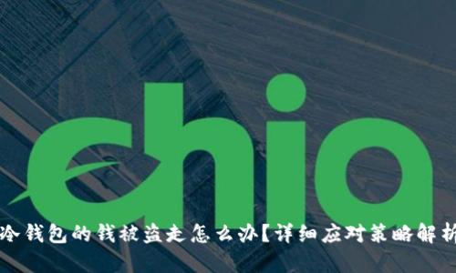 冷钱包的钱被盗走怎么办？详细应对策略解析