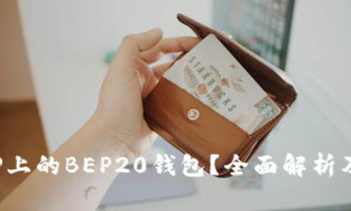  什么是TP上的BEP20钱包？全面解析及使用指南