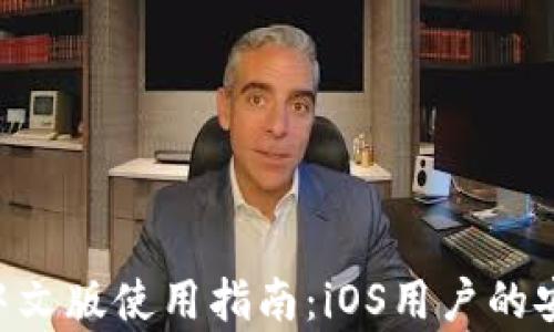 
GoPay官网中文版使用指南：iOS用户的安心支付体验