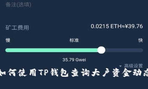如何使用TP钱包查询大户资金动态