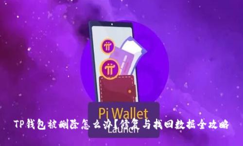 TP钱包被删除怎么办？修复与找回数据全攻略